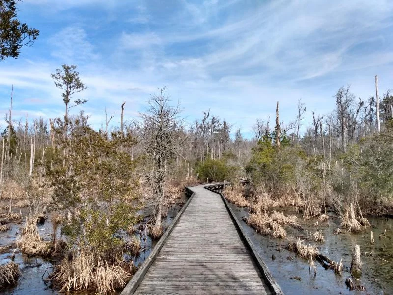 Go loose as a Goose at the State Park